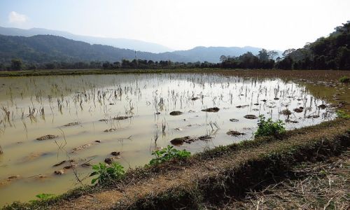 Zdjcie LAOS / Laos pnocny / okolice Vang Vieng / okolice Vang Vieng