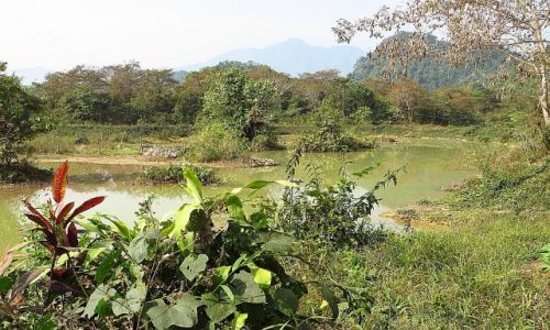 Zdjcie LAOS / Laos pnocny / okolice Vang Vieng / okolice Vang Vieng