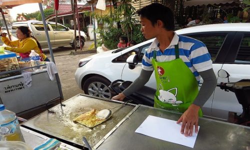 Zdjecie LAOS / Laos pnocny / Vientiane / sprzedawca nalenikw
