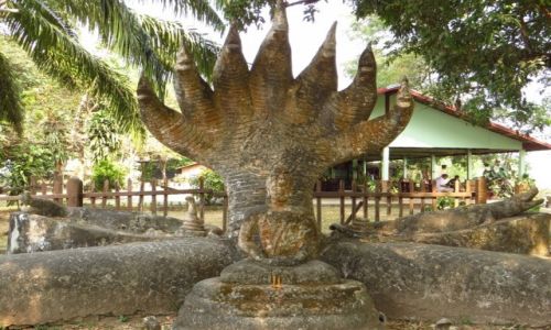 Zdjcie LAOS / Laos pnocny / okolice Vientiane / Park Buddy