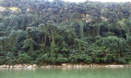 Zdjcie LAOS / Laos pnocny / okolice Nong Khiaw / las deszczowy