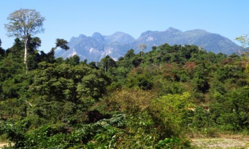 Zdjcie LAOS / Laos pnocny / wioska Ban Hat Sao / trekking do wodospadu Tad Mook