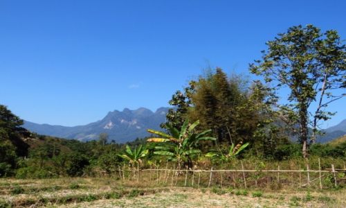 Zdjcie LAOS / Laos pnocny / wioska Ban Hat Sao / trekking do wodospadu Tad Mook