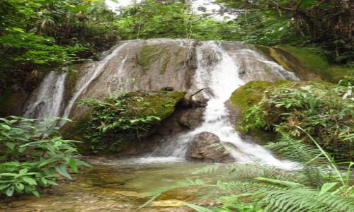 Zdjcie LAOS / Laos pnocny / okolice Nong Khiaw / trekking do wodospadu Tad Mook