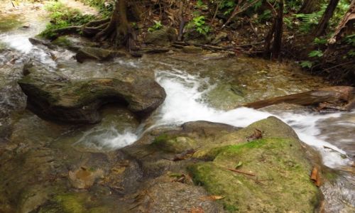 Zdjęcie LAOS / Laos północny / okolice Nong Khiaw / trekking do wodospadu Tad Mook