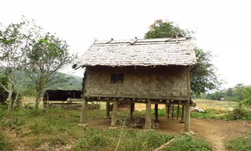 Zdjcie LAOS / Laos pnocny / wioska Ban Hat Sao / trekking do wodospadu Tad Mook