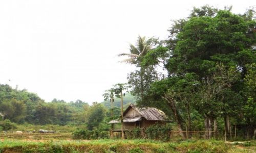 Zdjcie LAOS / Laos pnocny / wioska Ban Hat Sao / trekking do wodospadu Tad Mook