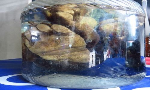 Zdjęcie LAOS / Laos północny / trasa Vientiane - Luang Prabang / ciekawostki Laosu