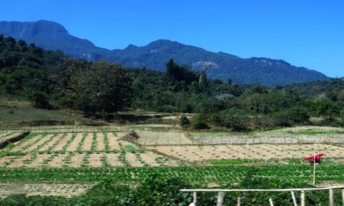 Zdjcie LAOS / Laos pnocny / trasa Vang Vieng - Luang Prabang / obrazki z Laosu