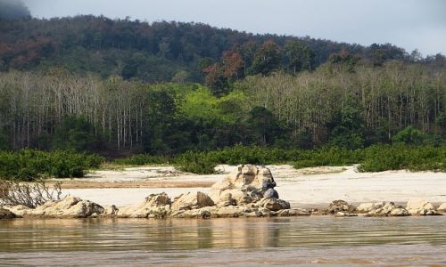 Zdjcie LAOS / Laos pnocny / Luang Prabang - groty Pak Ou / rejs po Mekongu