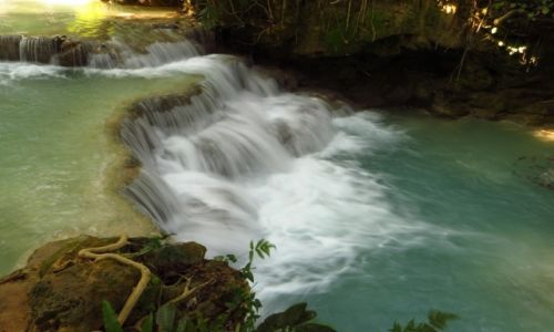 Zdjcie LAOS / Laos pnocny / wodospady Kuang Si / Park Kuang Si