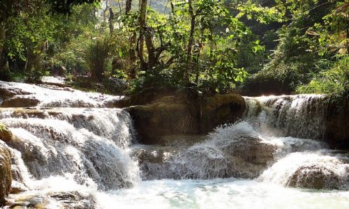 Zdjcie LAOS / Laos pnocny / okolice Luang Prabang / Park Kuang Si