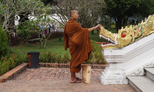 Zdjęcie LAOS / Louangphrabang / Louangphrabang / Zakupy i modlitwa