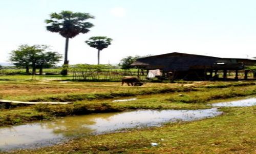 Zdjęcie LAOS / brak / Si Pha Don / Wioska na Don Kong3