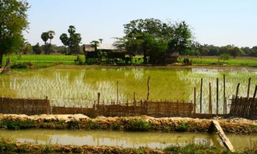 Zdjecie LAOS / brak / Si Pha Don / Wioska na Don Kong4