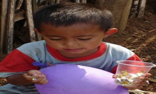 Zdjęcie LAOS / Luangprabang / Luangprabang / nie mam teraz czasu na pozowanie
