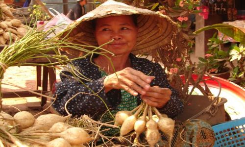 Zdjcie LAOS / brak / market / market