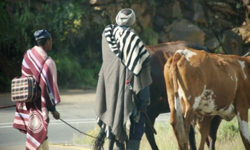Zdjęcie LESOTHO / Roma / okolice / Tubylcy