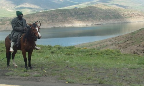 Zdjecie LESOTHO / - / okolice zapory Katse / biae gumowce s modne:)
