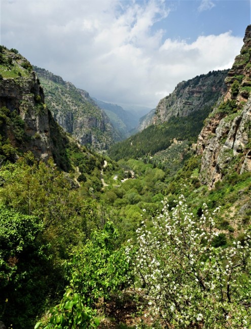Zdj cia:  Dolina Kadisha, Liban Pnocny, 20 km do przejcia, LIBAN