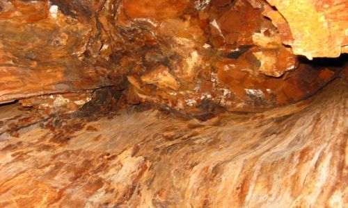 Zdjęcie LIBAN / - / okolice Bejrutu / Cedry libańskie 4