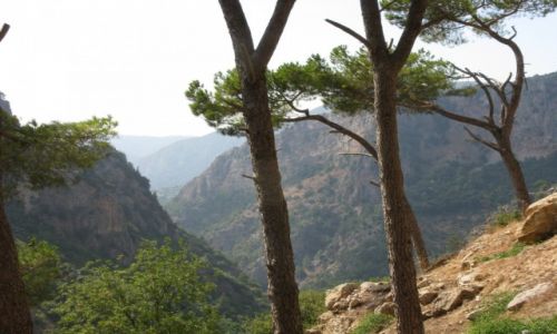 Zdjęcie LIBAN / - / okolice Bejrutu / Święta Dolina -  Wadi Kadisza 3