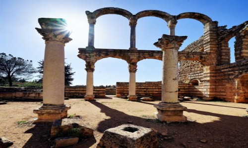 Zdjcie LIBAN / Dolina Bekaa / Anjar / Pod soce
