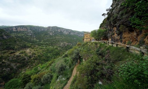 Zdjcie LIBAN / Bszarri / Dolina Kadisha / W drodze do wityni