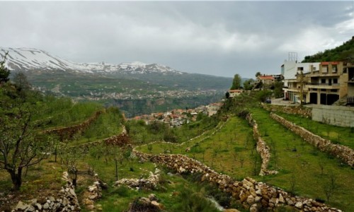 Zdjcie LIBAN / Liban Pnocny / Dolina Kadisha / Tarasowe uprawy