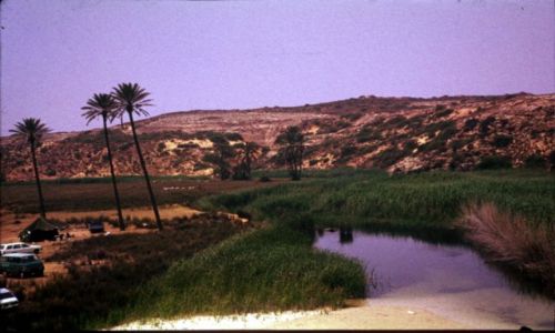 Zdjęcie LIBIA / trypolitania / ok 60 km od Trypolisu / camping nad morzem