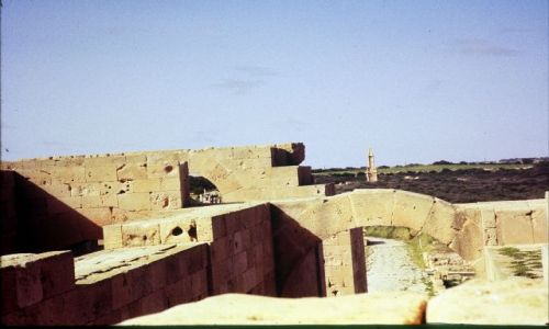 Zdjęcie LIBIA / trypolitania / Laptis Magna / widok na okolice