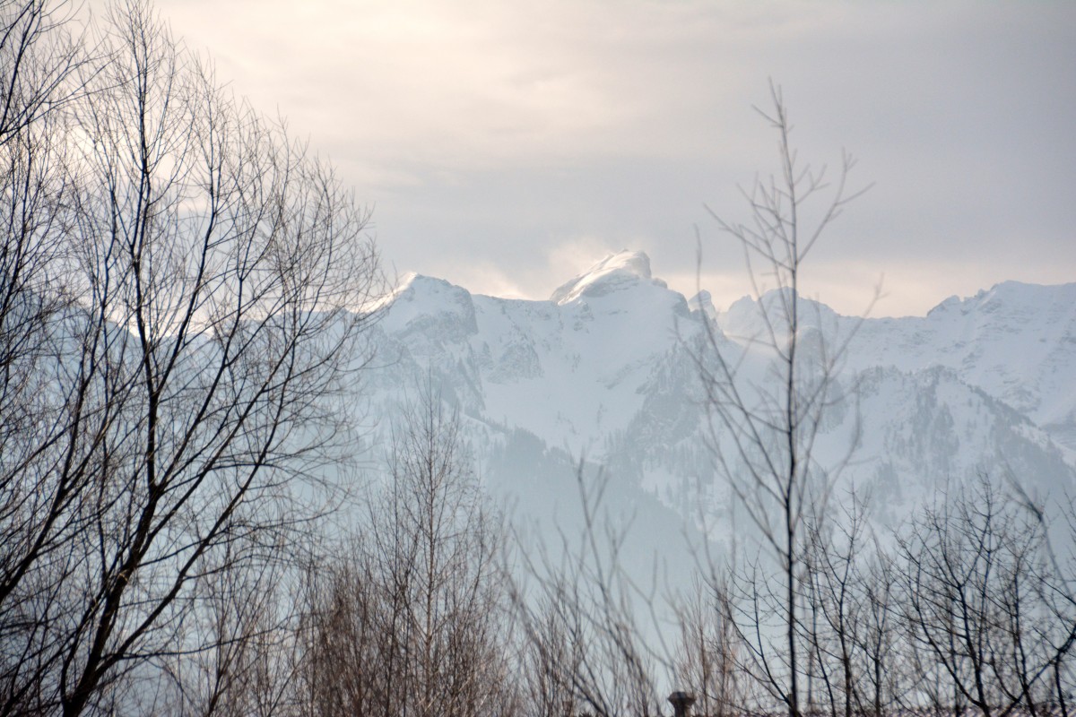 Zdjęcia: Schaan, Unterland, Alpy, LIECHTENSTEIN Zdjęcia: Schaan, Unterland, Alpy, LIECHTENSTEIN