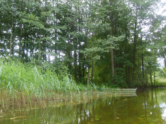 Zdjęcia: Pojezierze Auksztockie, Auksztota, pojezierze5, LITWA Zdjęcia: Pojezierze Auksztockie, Auksztota, pojezierze5, LITWA