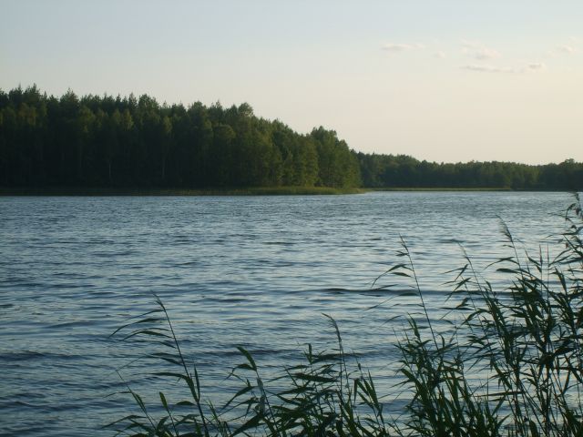 Zdjęcia: Pojezierze Auksztockie, Auksztota, pojezierze7, LITWA Zdjęcia: Pojezierze Auksztockie, Auksztota, pojezierze7, LITWA