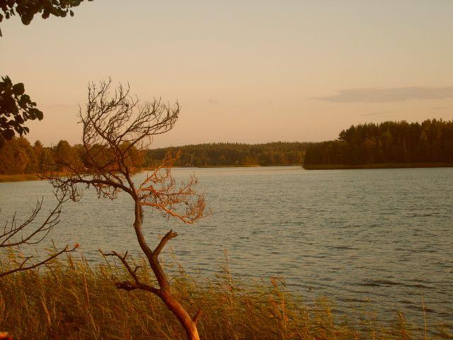 Zdjęcia: Pojezierze Auksztockie, Auksztota, litewskie krajobrazy, LITWA Zdjęcia: Pojezierze Auksztockie, Auksztota, litewskie krajobrazy, LITWA