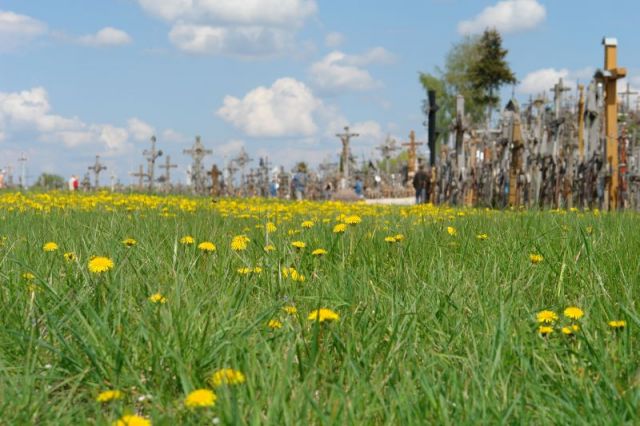 Zdjęcia: Litwa, piekno inaczej, LITWA Zdjęcia: Litwa, piekno inaczej, LITWA