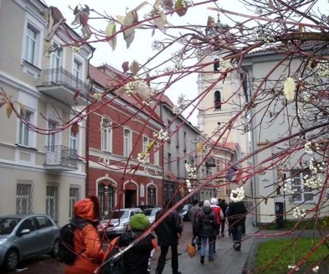 Zdjęcia: Stare Miasto, Wilno, jesienne Wilno, LITWA Zdjęcia: Stare Miasto, Wilno, jesienne Wilno, LITWA