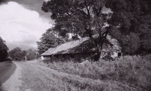 Zdjecie LITWA / brak / ciekawe / Litwa