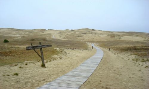Zdjecie LITWA / Okrg kajpedzki / Nida - Neringa / Szare Wydmy - Mierzeja Kuroska