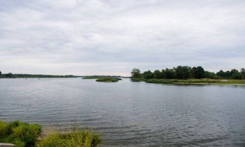 Zdjecie LITWA / Okrg Kajpedzki / Rusne / Tu koczy si Niemen