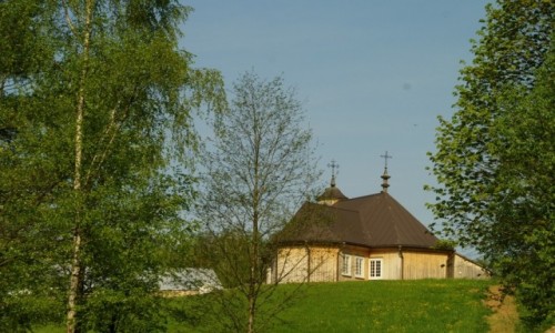 Zdjcie LITWA / okolice Kowna / Rumszyszki / skansen wsi litewskiej