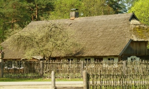 Zdjcie LITWA / okolice Kowna / Rumszyszki / skansen wsi litewskiej