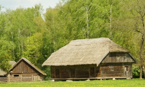 Zdjcie LITWA / okolice Kowna / Rumszyszki / skansen wsi litewskiej