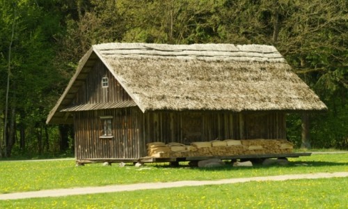 Zdjcie LITWA / okolice Kowna / Rumszyszki / skansen wsi litewskiej