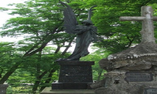 Zdjęcie LITWA / - / Wilno, Cmentarz na Rossie / Czarny Anioł