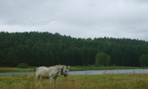 Zdjęcie LITWA / Auksztota / Pojezierze Auksztockie / W Ignalinie