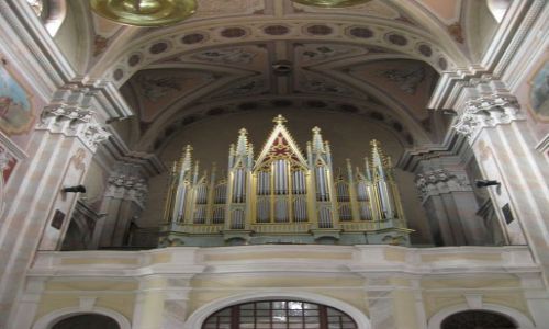 Zdjęcie LITWA / brak / Kowno -Archikatedra / Strzelistość