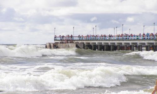 Zdjcie LITWA / Litwa / palanga / palanga 2008