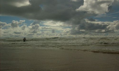 Zdjecie LITWA / Litwa / palanga / palanga 2008