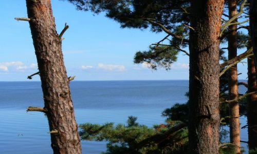 Zdjcie LITWA / Mierzeja Kuroska / Nida / Widok na zatok Kurosk z chaty Tomasza Manna (niemieckiego noblisty
